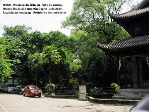 Luzhou juin 2017 - 014